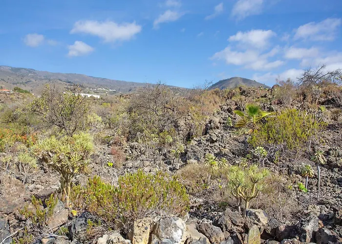Piletas Dos Nyaraló Guía de Isora