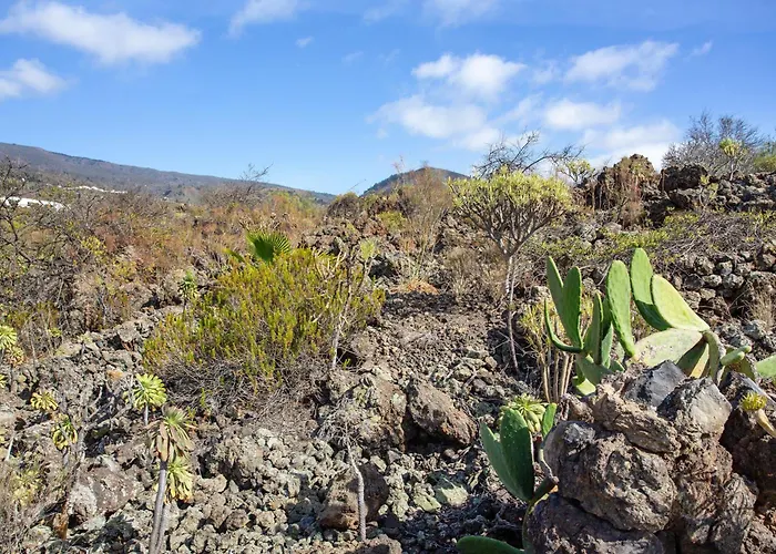 Piletas Dos Дом отдыха